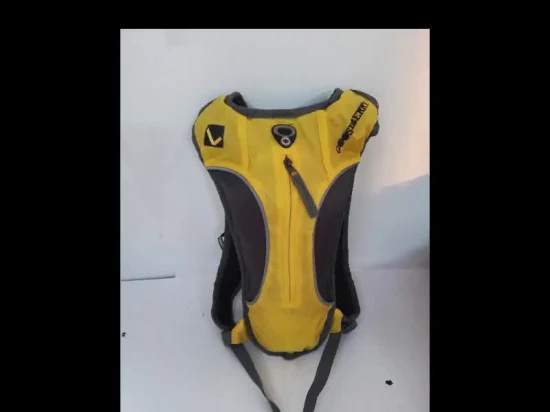 Zaino idrico - Zaino da ciclismo con sacca d'acqua da 2 litri per corsa, escursionismo, ciclismo, festival, rave.  Borsa per bere